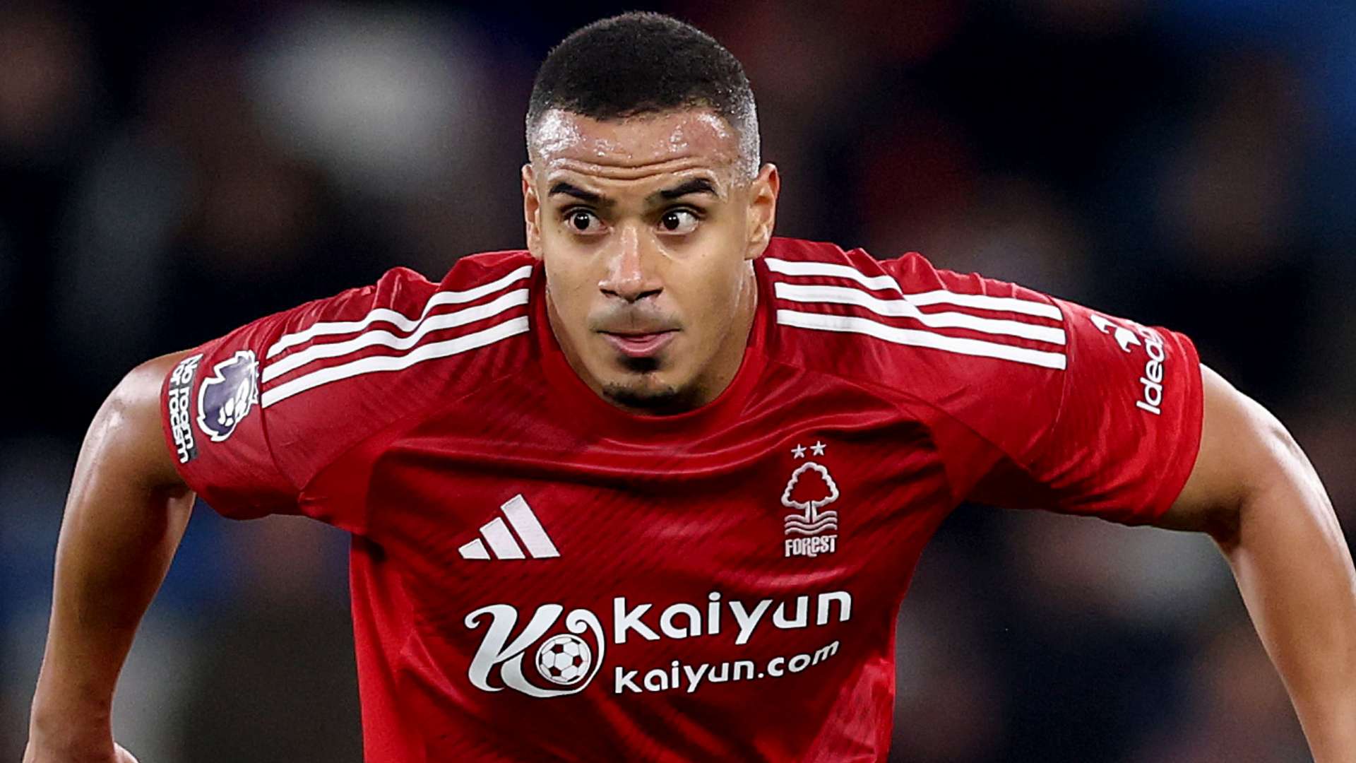 仅在最近几 仅在最近几