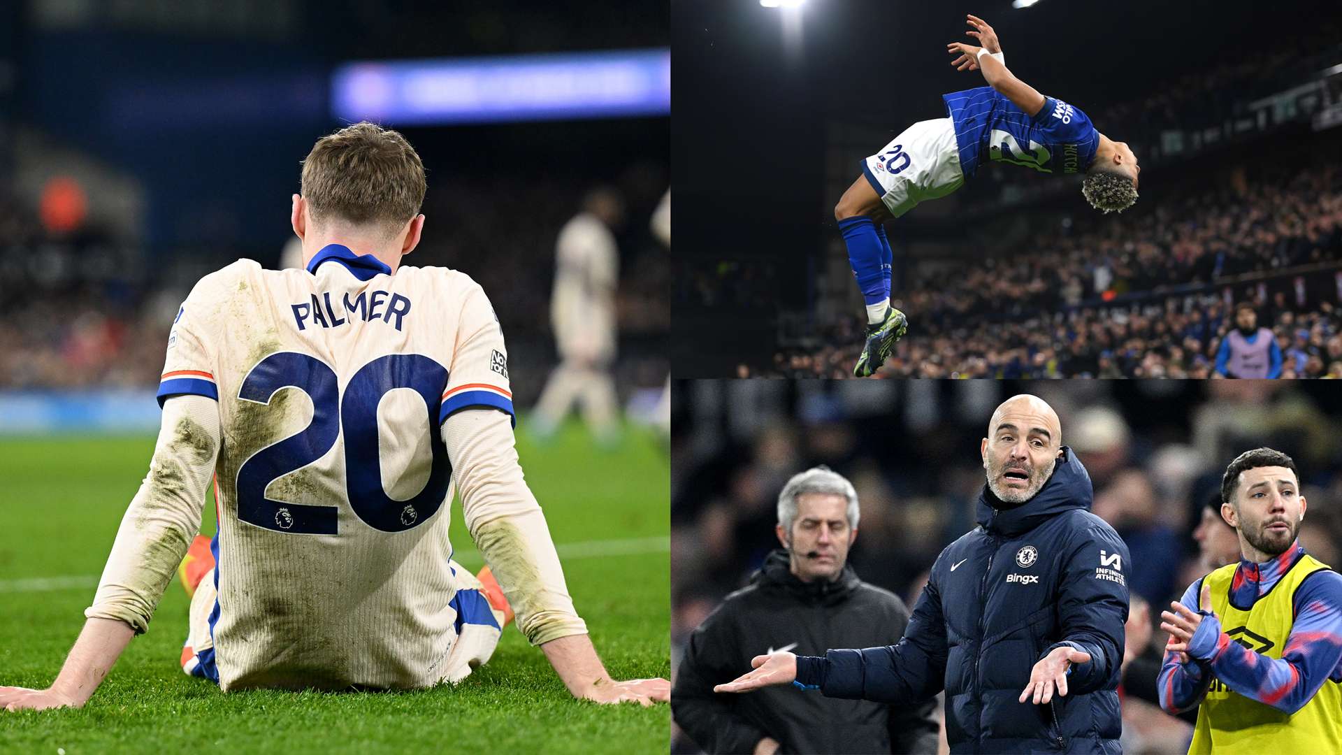 的佼佼者 的佼佼者