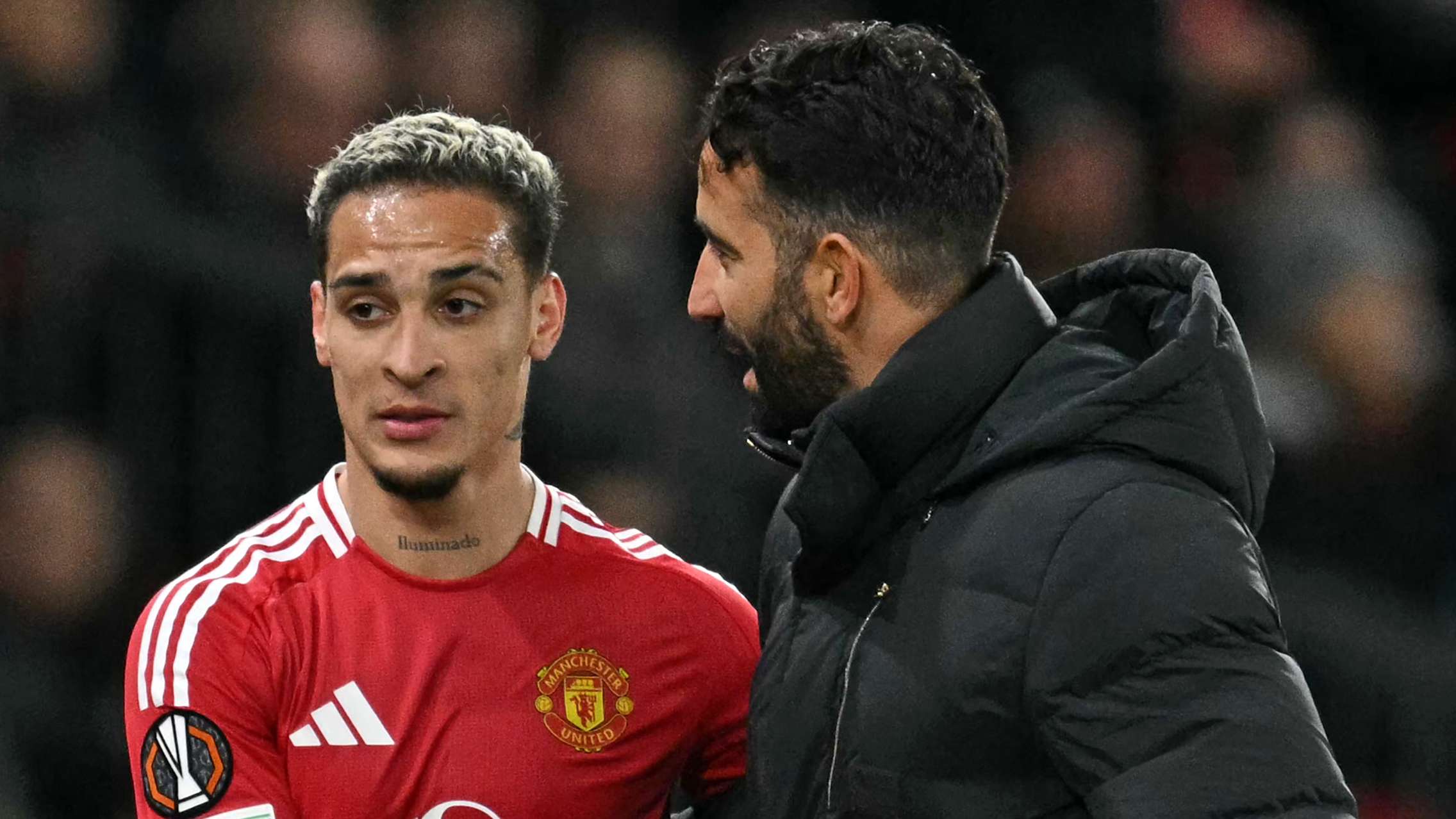 球迷的目光 球迷的目光