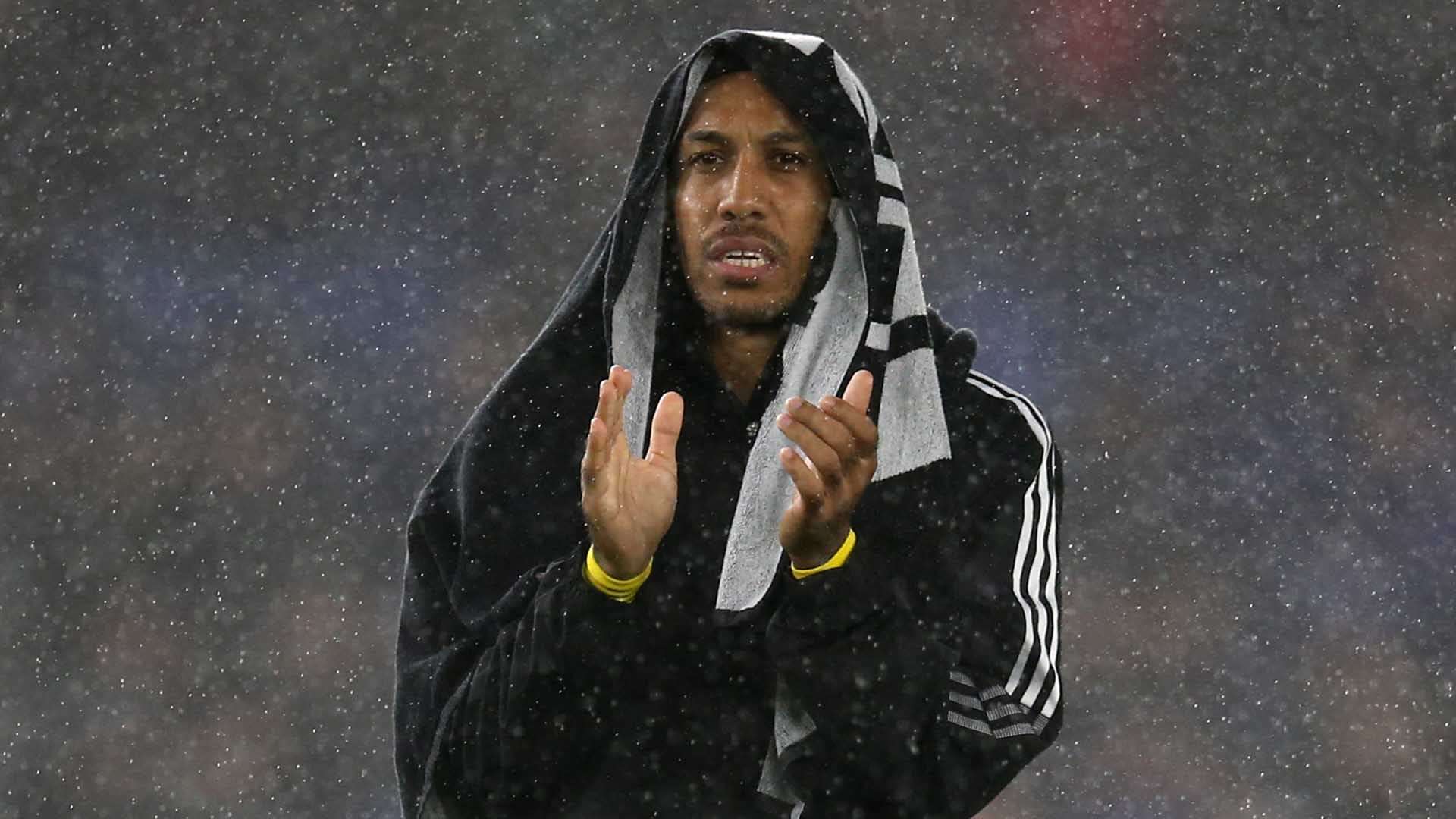 他在之前的 他在之前的