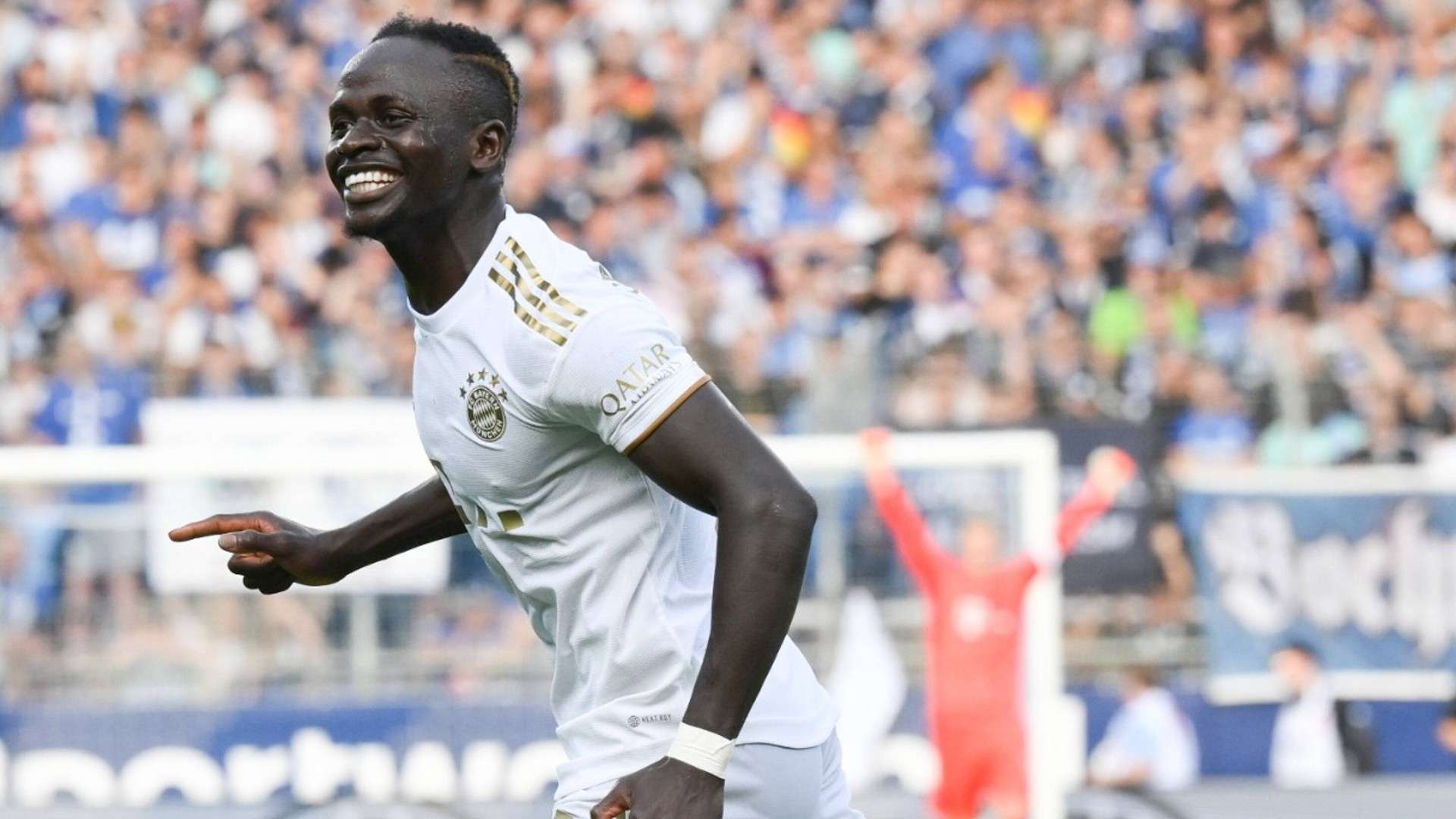 纵观约基奇 纵观约基奇